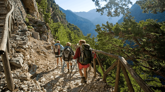 The Best Hiking Socks Choice in the Summer