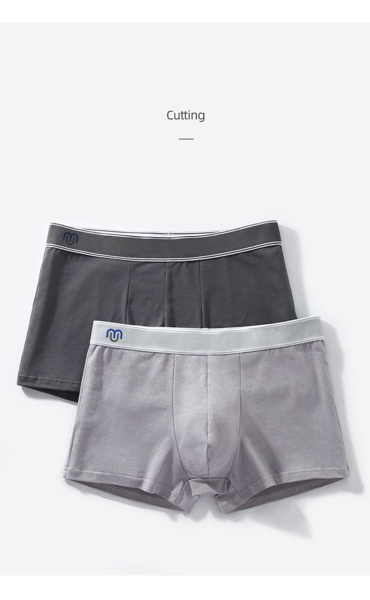 Comfort Underpants for Men